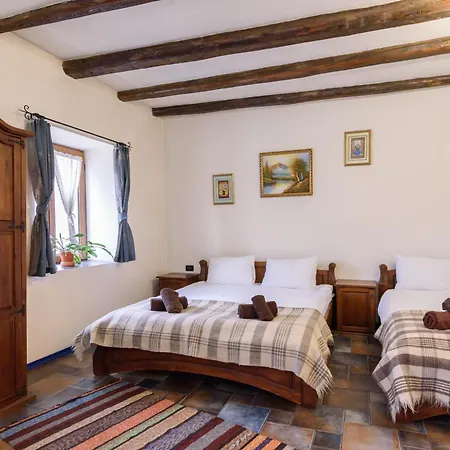 Garibaldi - Total シャレー バンスコ