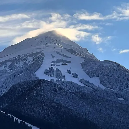 Alpehytte Garibaldi - Total Bansko