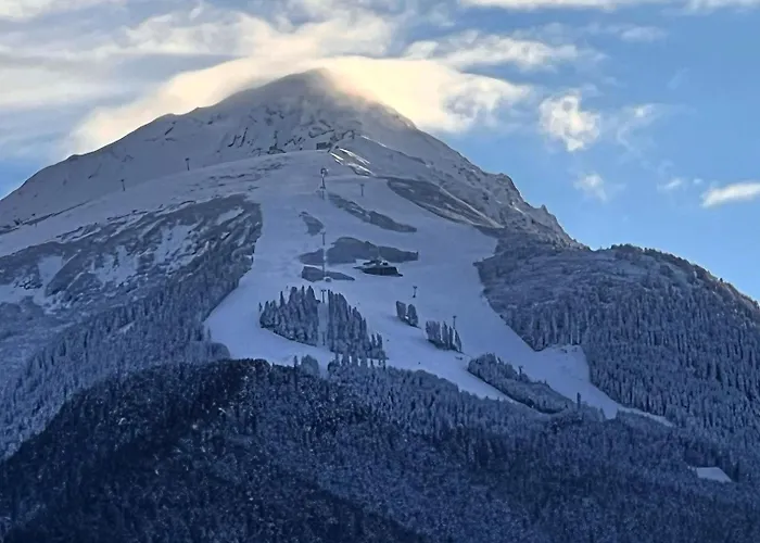 Chalé Garibaldi - Total Bansko